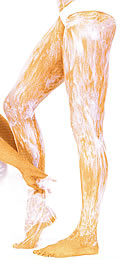Was bewirkt Body Wrapping? Wie ist die Kur aufgebaut?